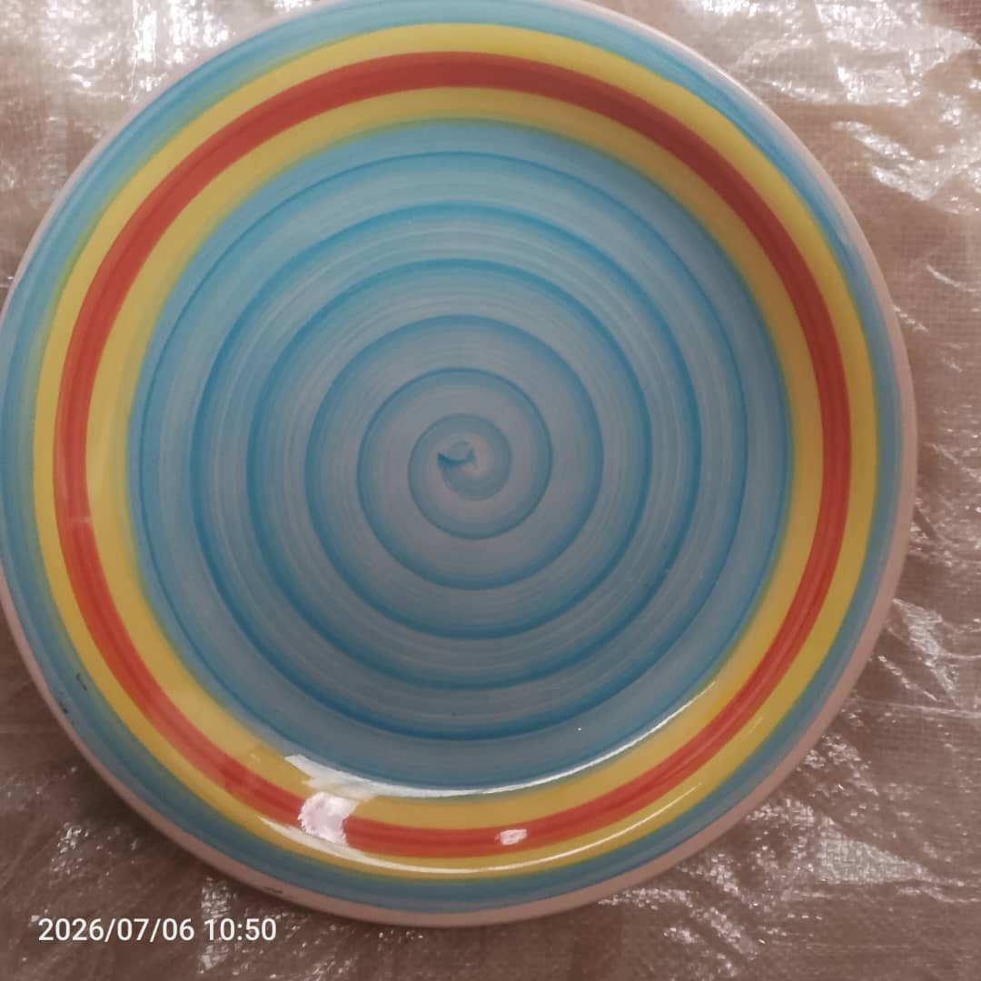 carton of 30 large plate 10.5 inch