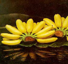 Baby Banana