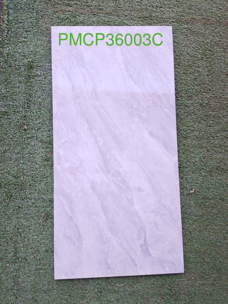 Decorative Wall Tile PMCP36003C 20x30cm