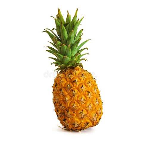 PINEAPPLE EDGE OF THE FIELDS