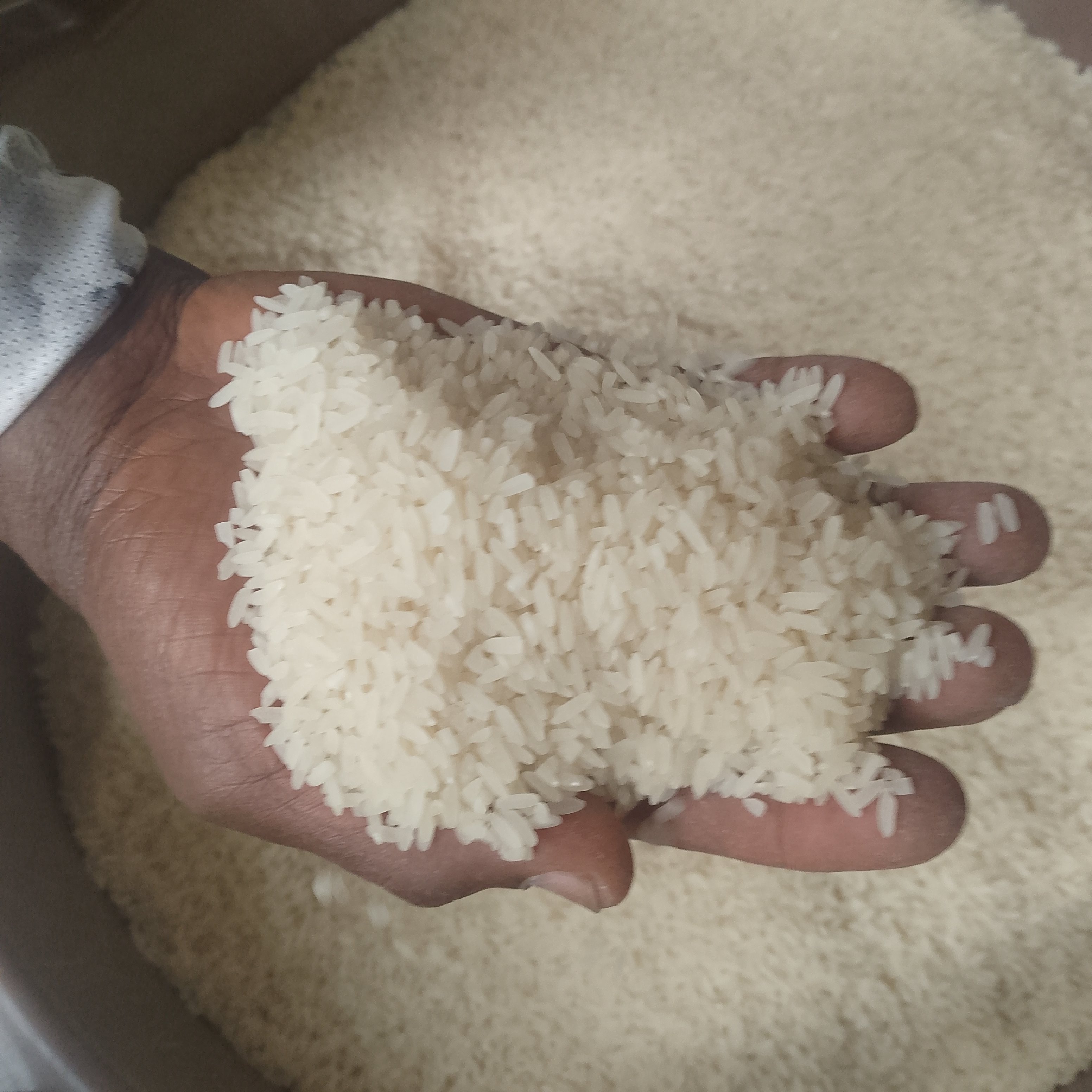 riz du mont mbapit