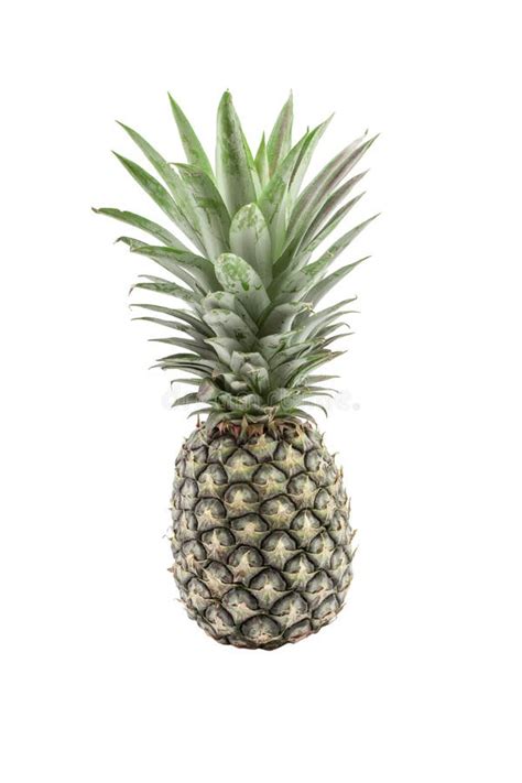 PINEAPPLE EDGE OF THE FIELDS