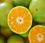 Oranges