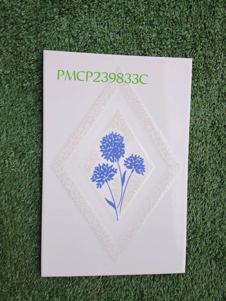 Decorative Wall Tile PMCP239833C  20x30cm