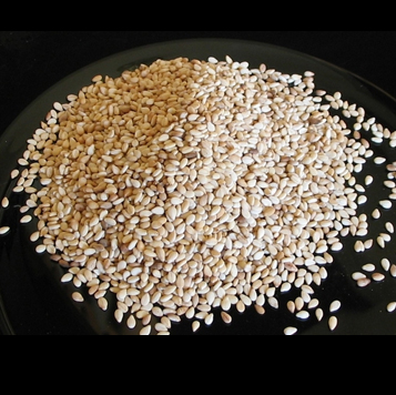 White Sesame Seed