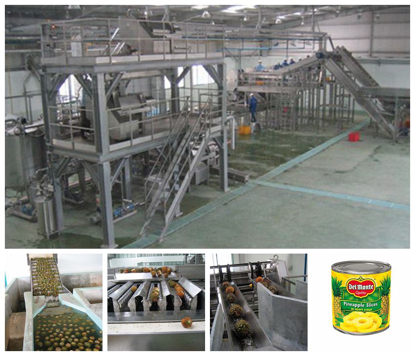 Pineapple processing line