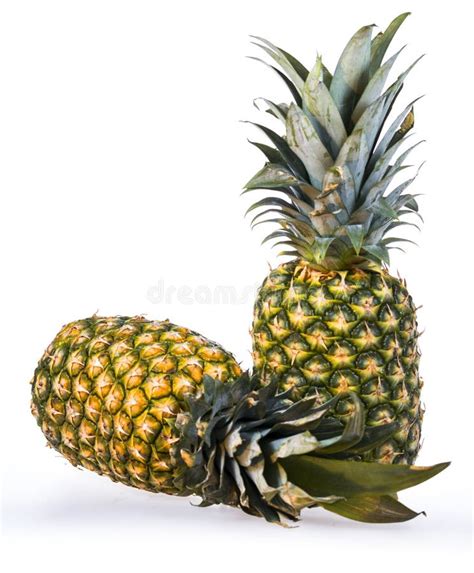 PINEAPPLE EDGE OF THE FIELDS