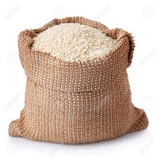 SESAME IN 100KG BAGS