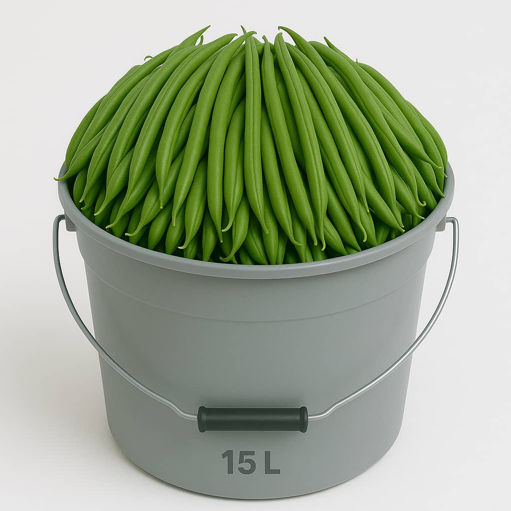 SCEAU D'HARICOT VERT 15L