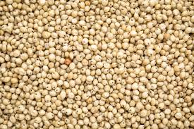 SORGHUM IN 100KG BAGS