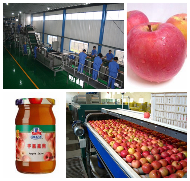 Apple jam processing line