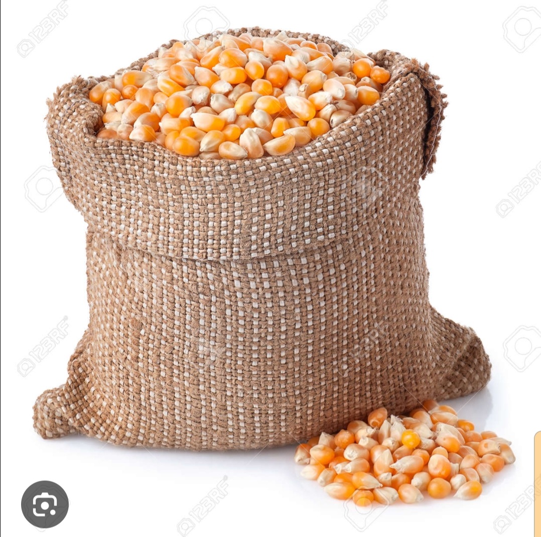 01 Sac de mais blanc