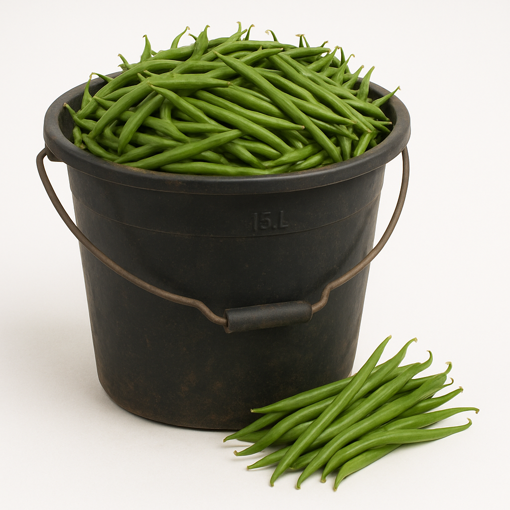 Haricots verts frais