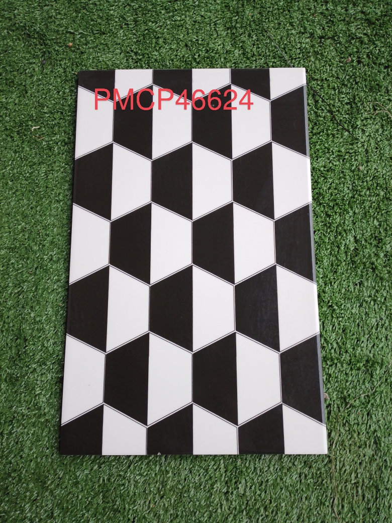 Decorative Wall Tile  PMCP46624C