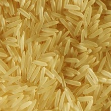 Aromatic Long Grain dried and Fresh Rice