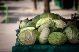 CABBAGE ON THE EDGE OF THE FIELDS