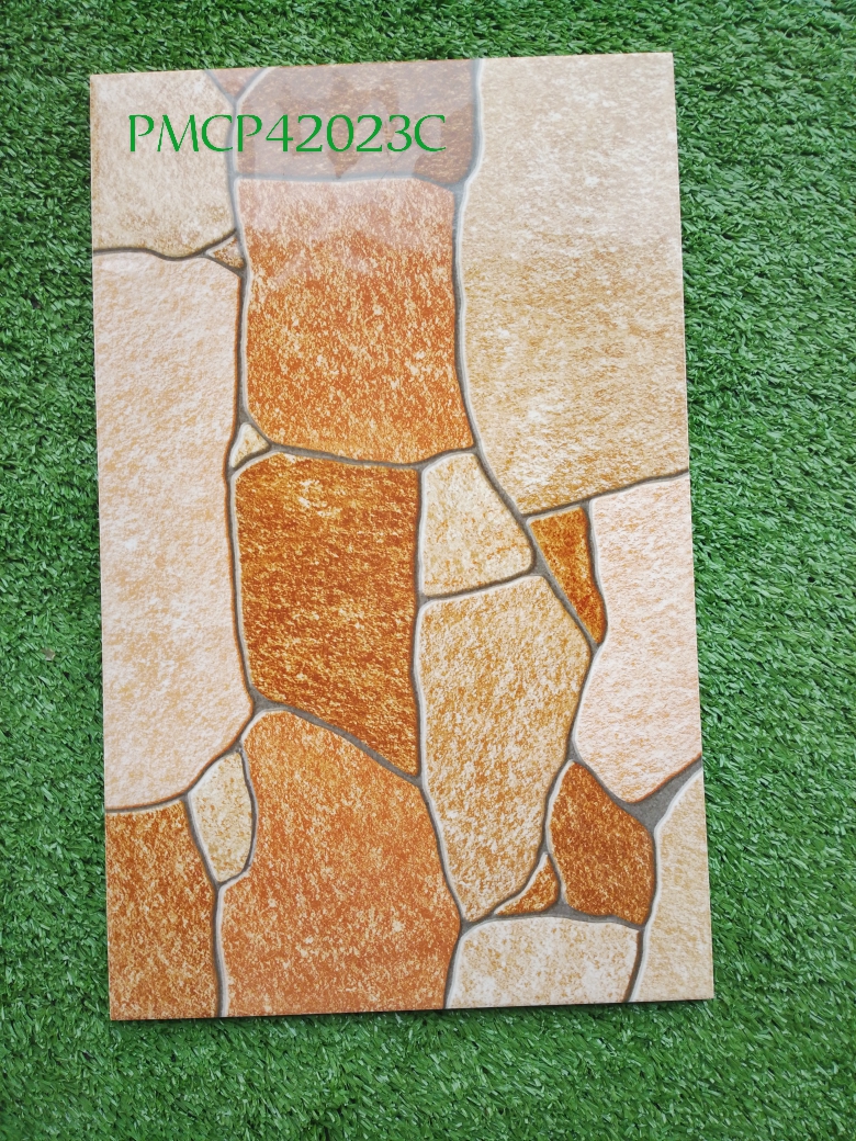 Decorative Wall Tile  PMCP42023C