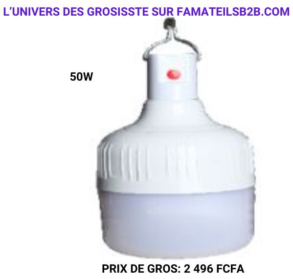 Ampoule solaire (Comprend un panneau solaire et télécommande)
