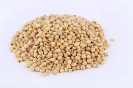 SORGHUM IN 100KG BAGS