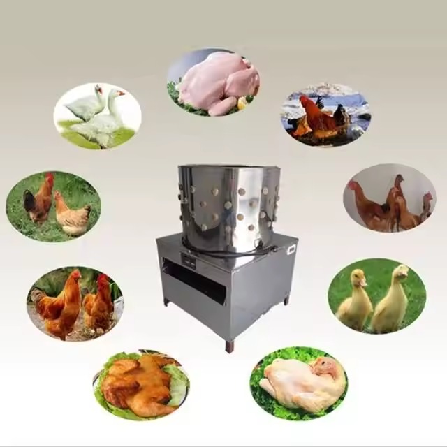 Plumeuse Pour Volaille, Compatible Avec Poulet, Oiseau, Canard, Dinde, Caille Et Oie