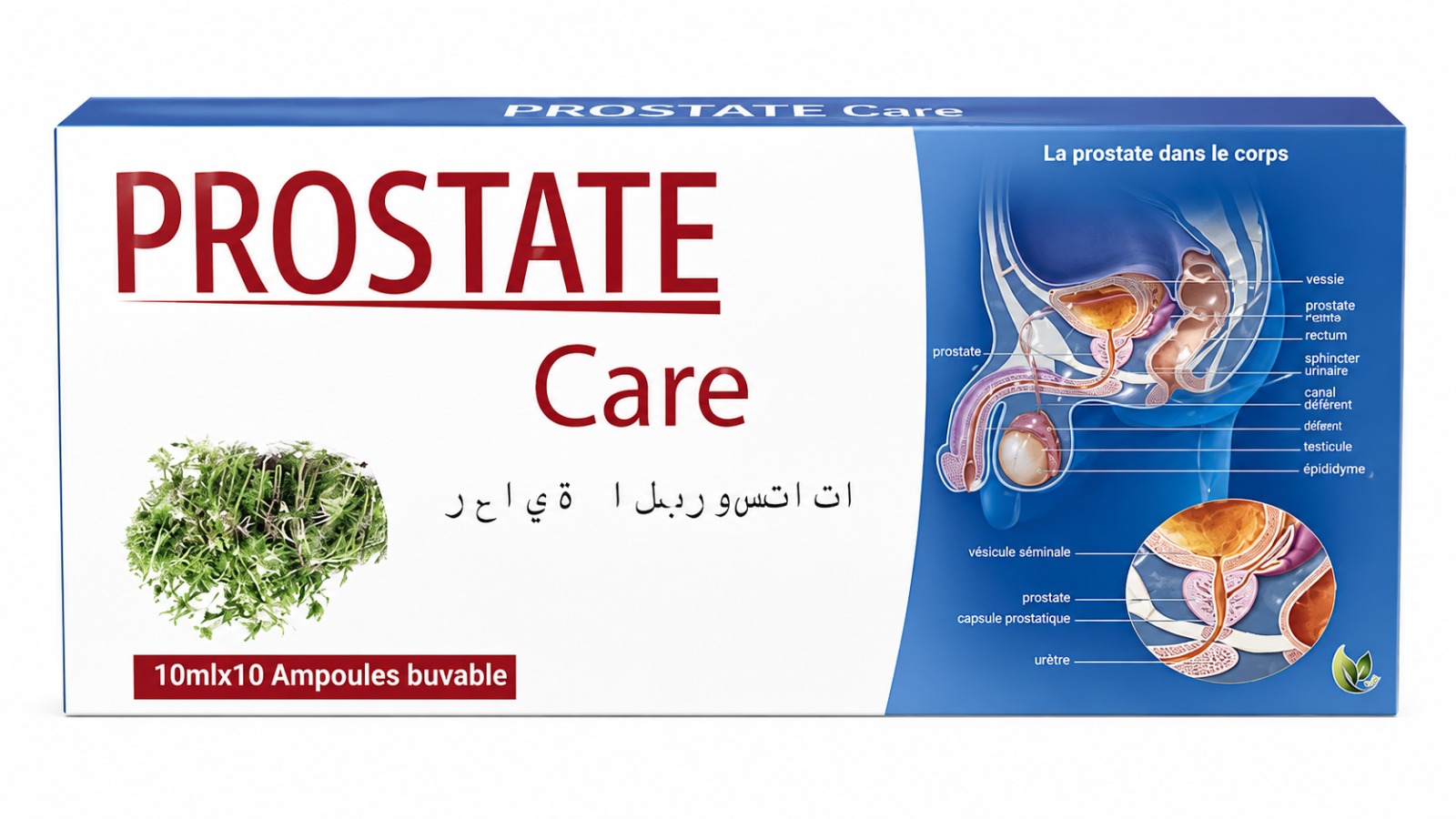 PROSTATE CARE
