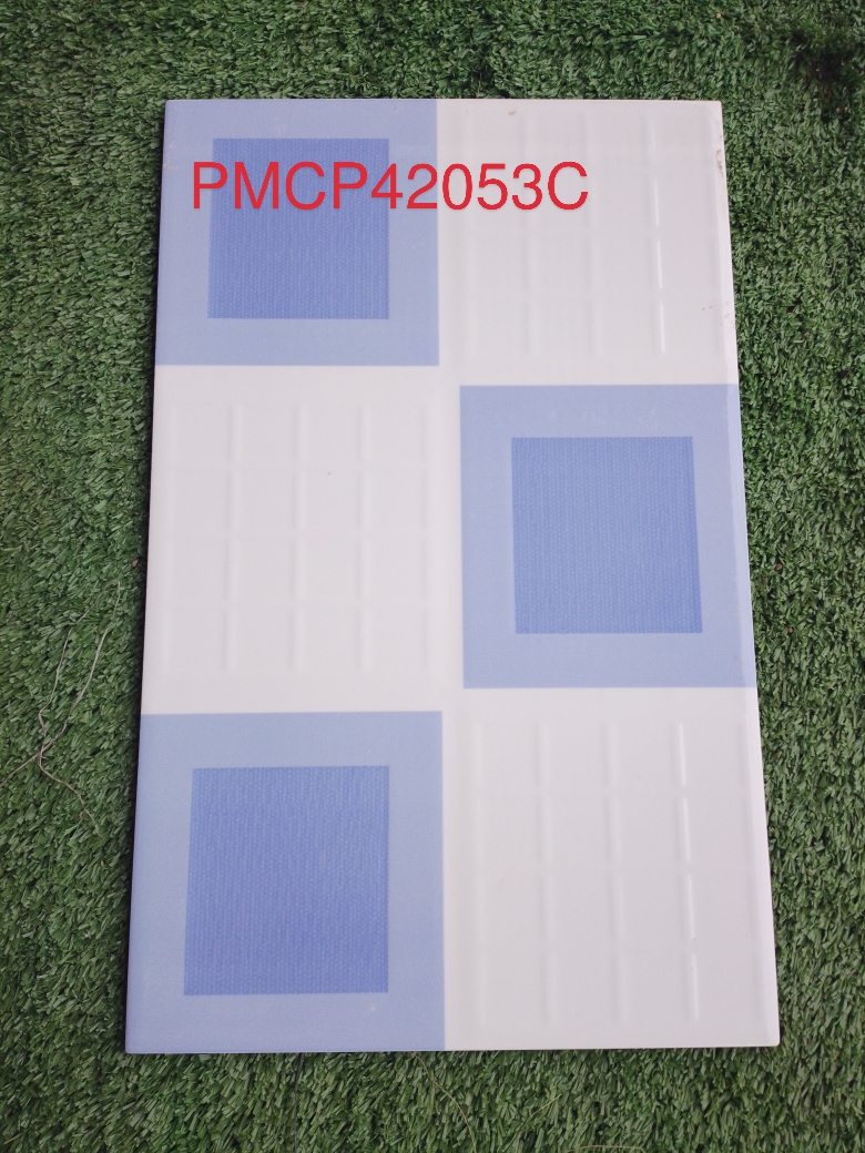 Decorative Wall TilePMCP42053C-