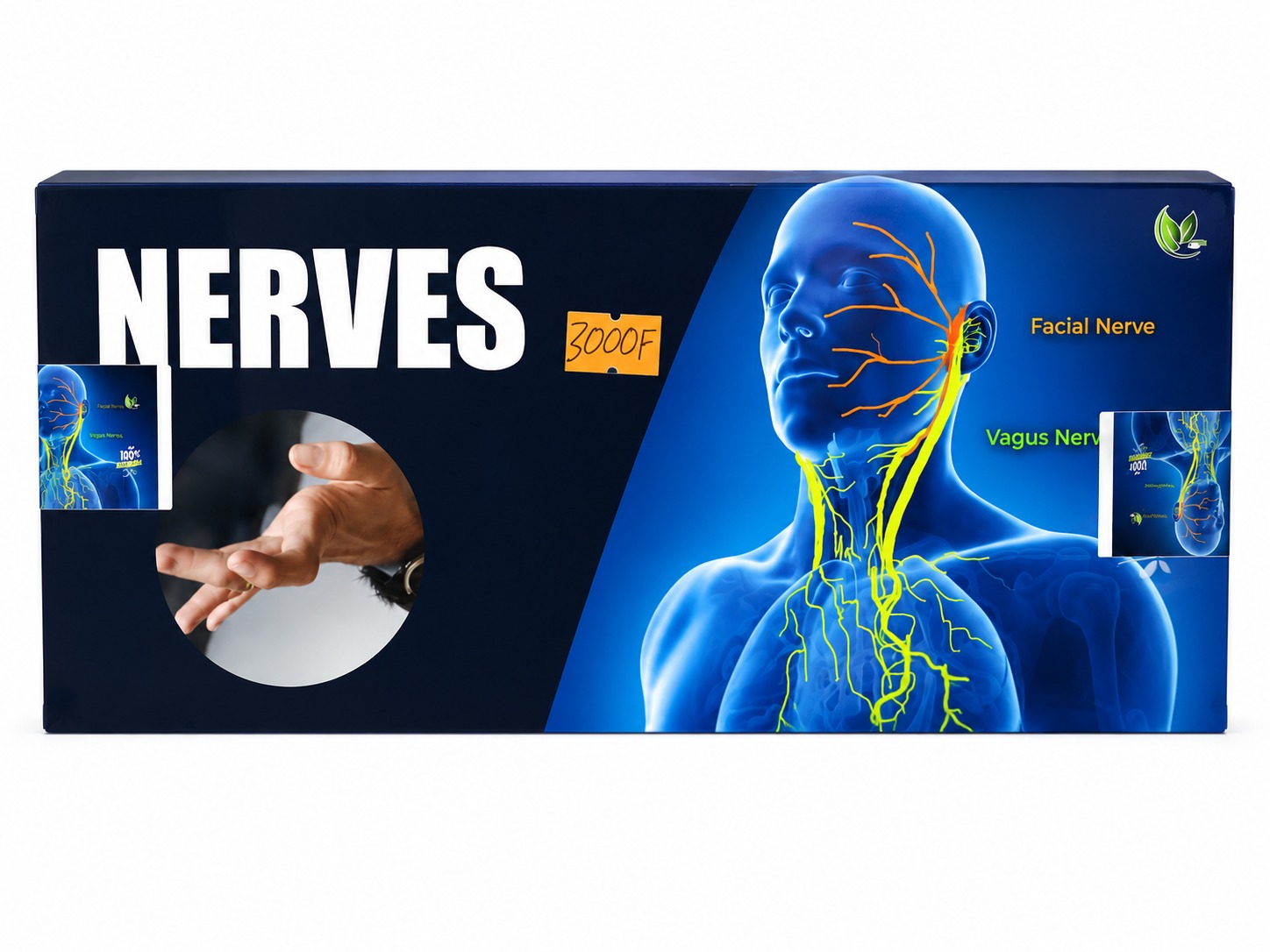 NERVES 