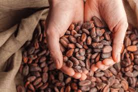 1KG DE CACAO