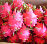 Dragon Fruit