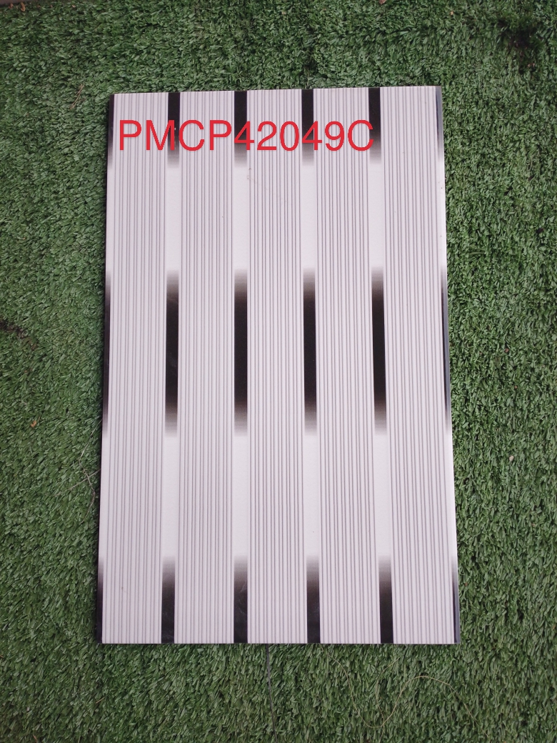 Decorative Wall Tile PMCP42090C  
