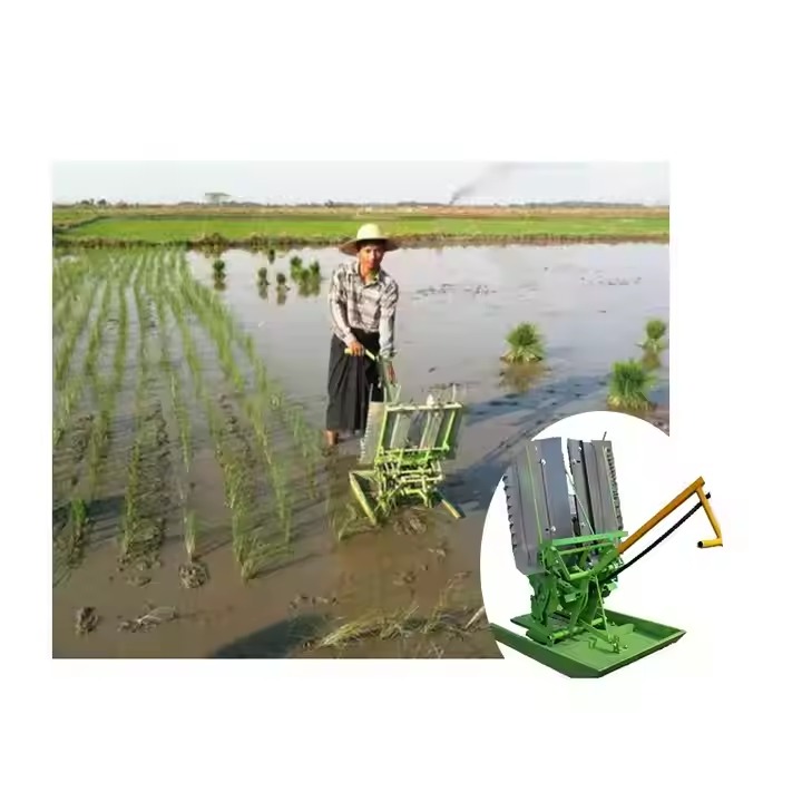 Transplanteur de riz 