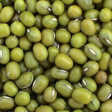 BEANS