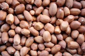 RED PEANUTS IN 100KG BAGS