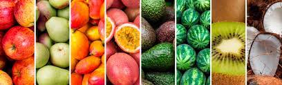 FRUITS DIVERS 