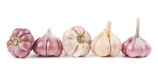 GARLIC IN 100KG BAGS