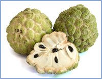 Fruits