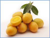 Fruits