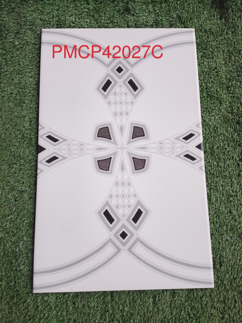 Decorative Wall Tile PMCP42027C