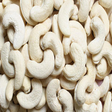Cashew 