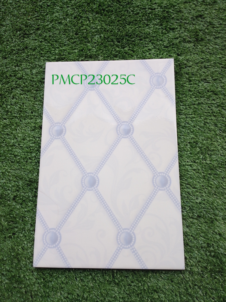 Decorative Wall Tile PMCP23025C  20x30cm 
