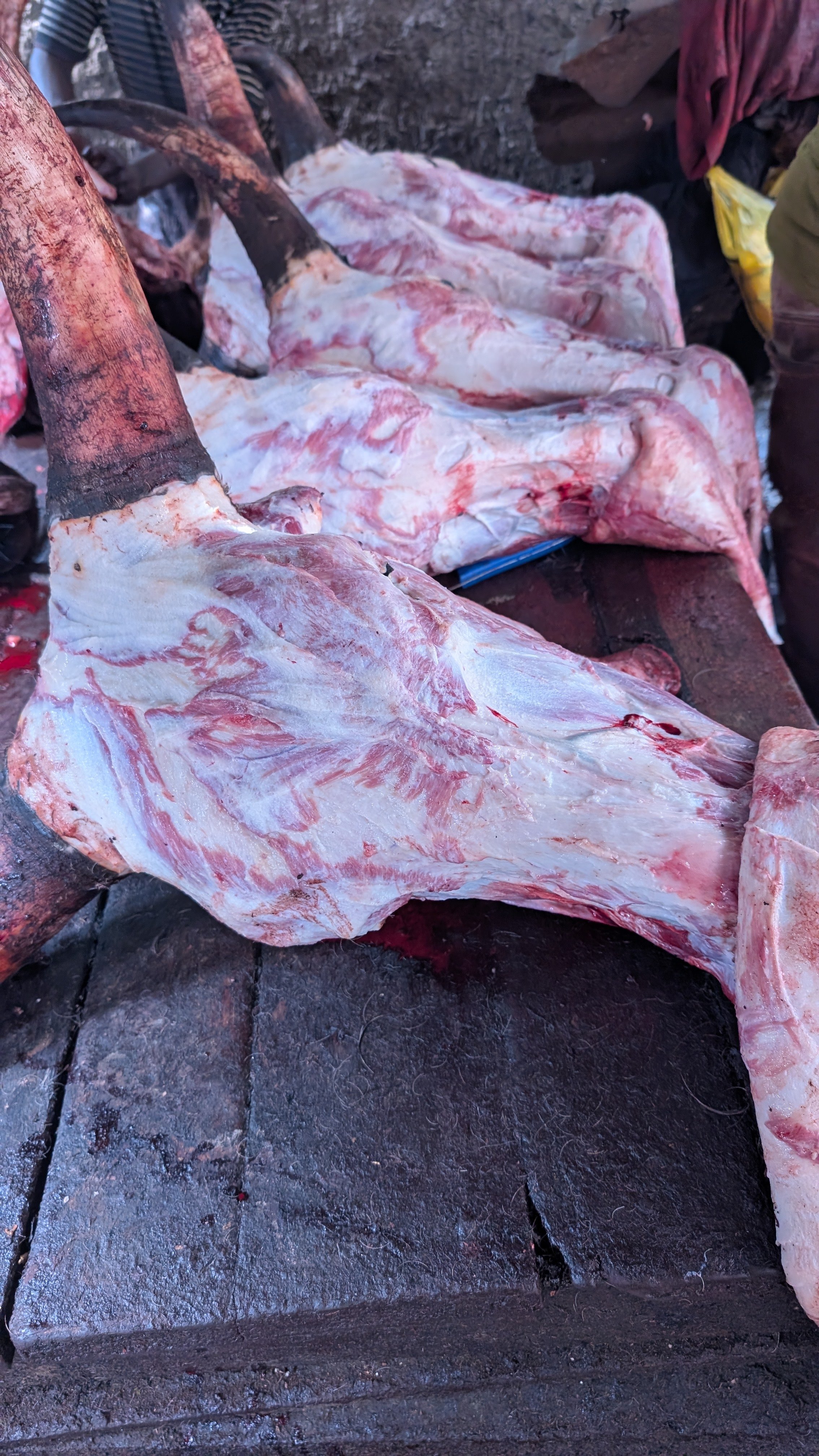 Boucherie :viande de boeuf dans toutes ses formes