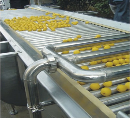 Fruit and vegetable sorting machine
