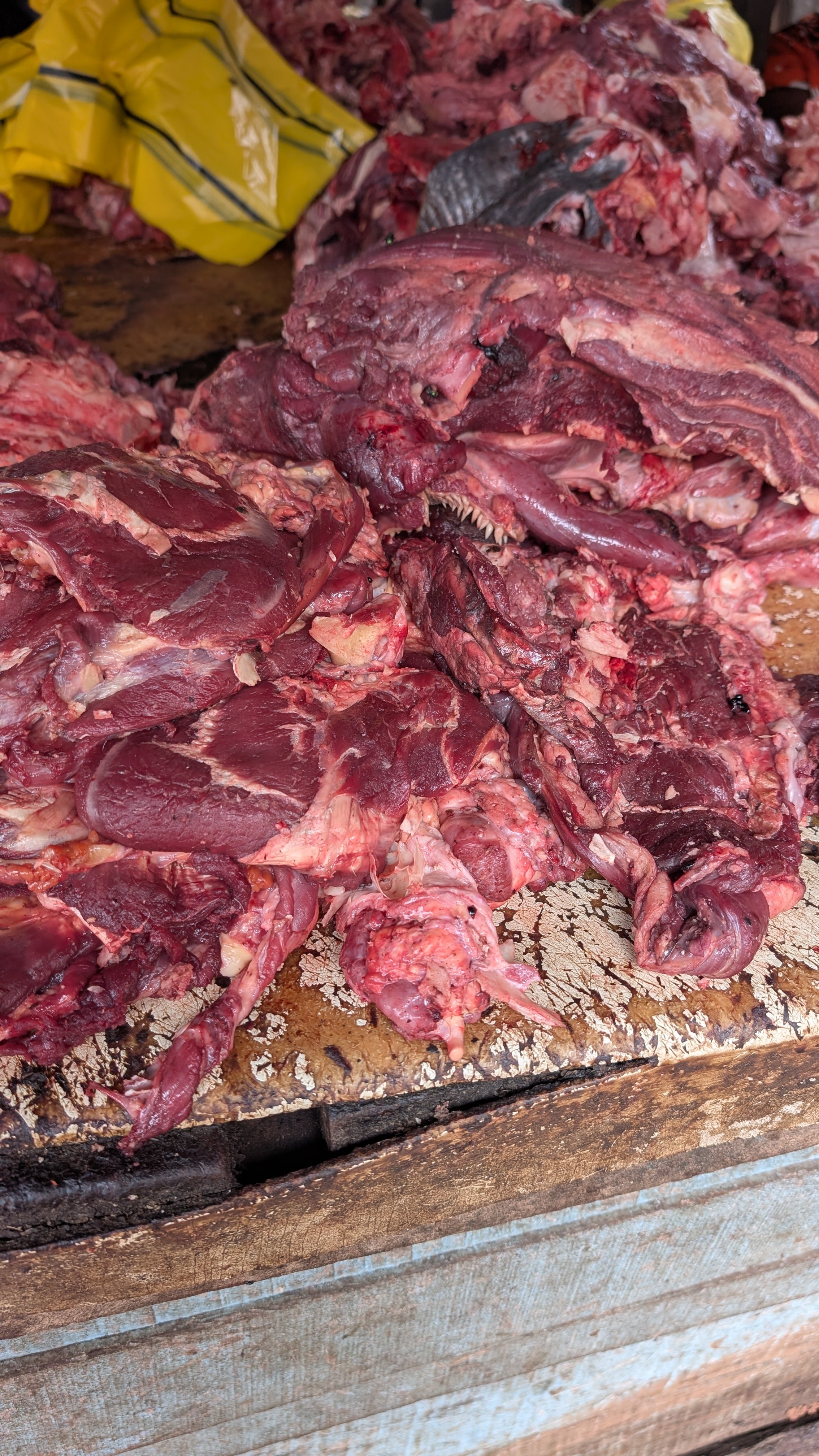 Boucherie :viande de boeuf dans toutes ses formes