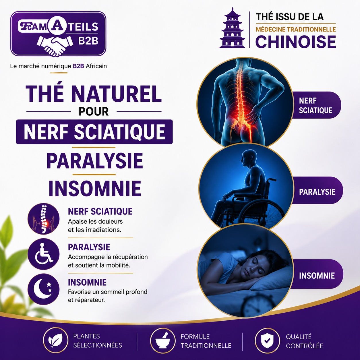 THÉ NATUREL – CONFORT DU NERF SCIATIQUE