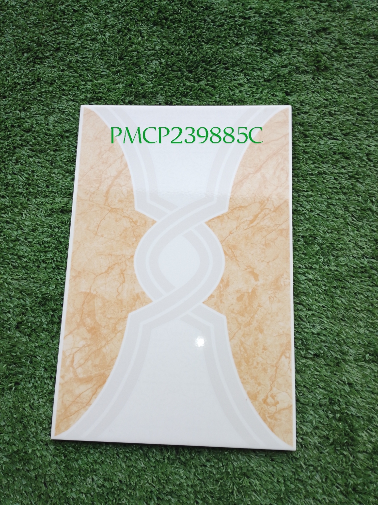 Decorative Wall Tile PMCP239885C 20x30cm