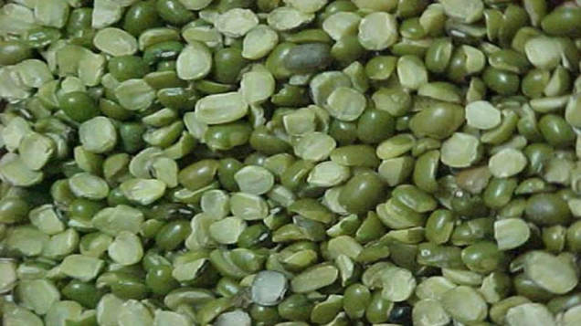 Green Mung Beans
