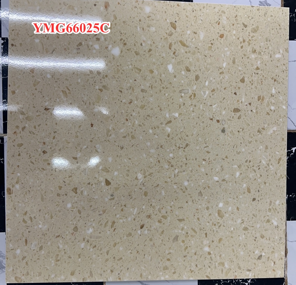  YMG66025C Polished Porcelain Tile - Terrazzo Look 60x60