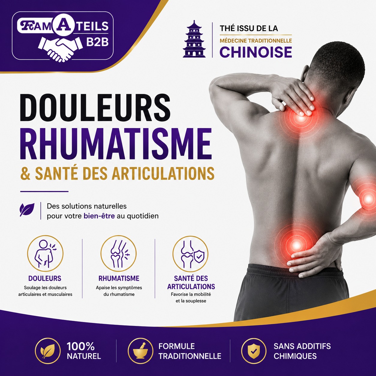THÉ DOULEURS & RHUMATISME –
