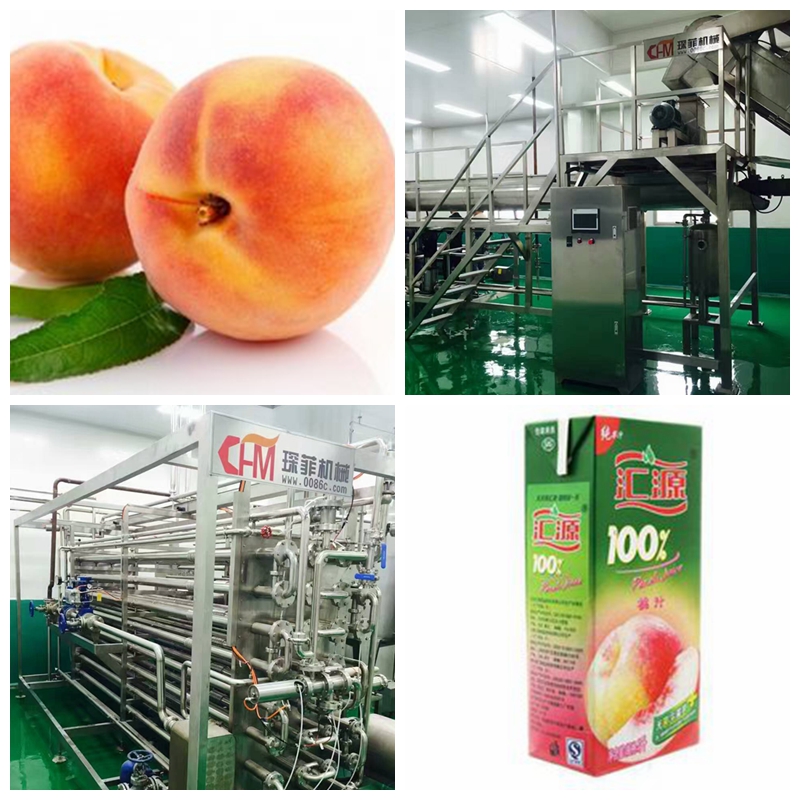Peach juice processing line