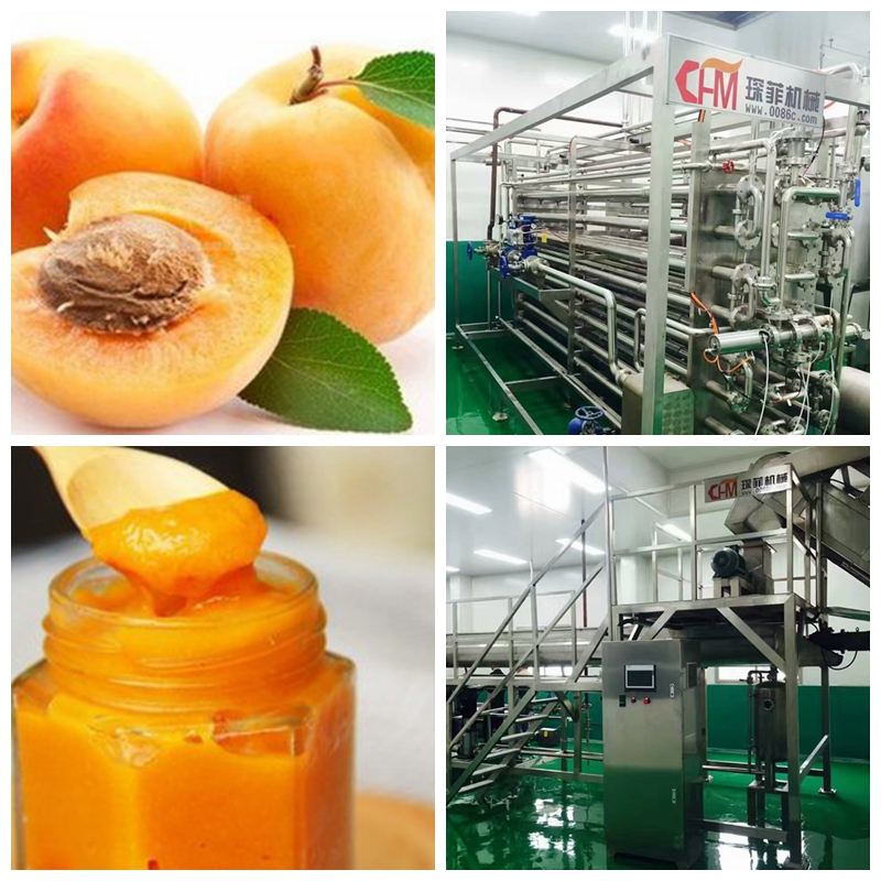 Apricot jam processing line